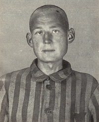 Błogosławiony Józef Jankowski Błogosławiony Józef Jankowski